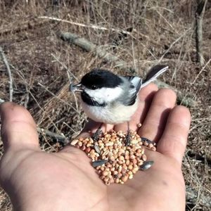 Meet your Posher, Cathy